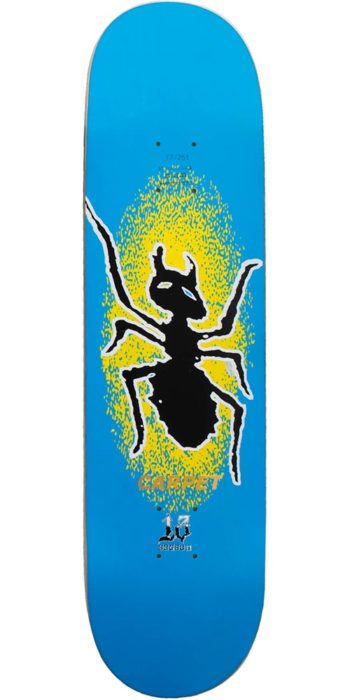 carpet-company-ant