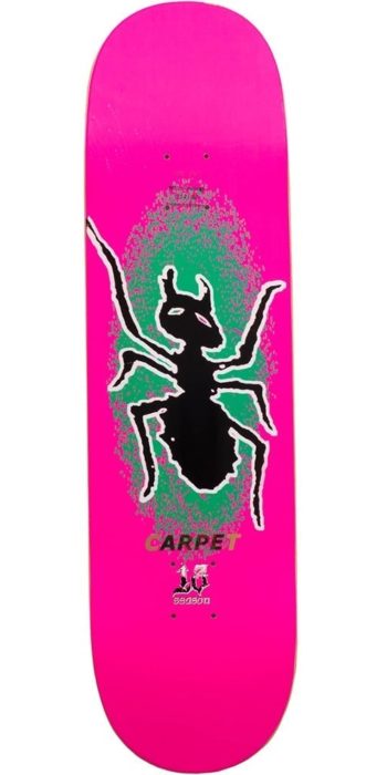 carpet-company-ant