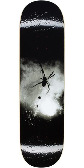 fucking-awesome-spider-photo-8.18