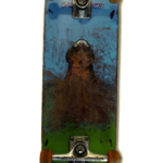 Deck Graphic