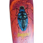 Deck Graphic