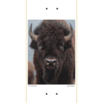 Deck Graphic