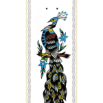 Deck Graphic