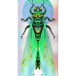 Deck Graphic