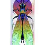 Deck Graphic