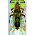 Deck Graphic