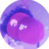 vvsheo